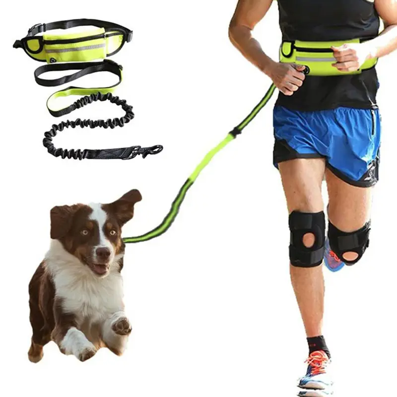Correa Manos Libres para Perros – Cinturón de Paseo y Adiestramiento con Correa Bungee Amortiguadora para Perros Grandes de hasta 80 kg, Bolsillo para Móvil y Portabotella