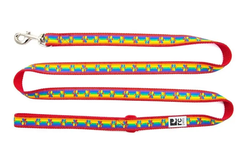 Correa para Perro Rainbow Paws