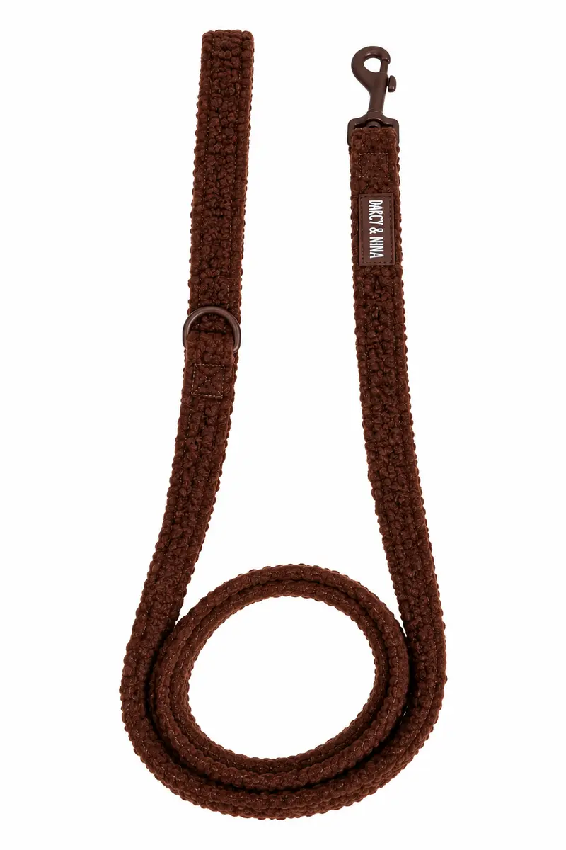 Correa Teddy Chocolate