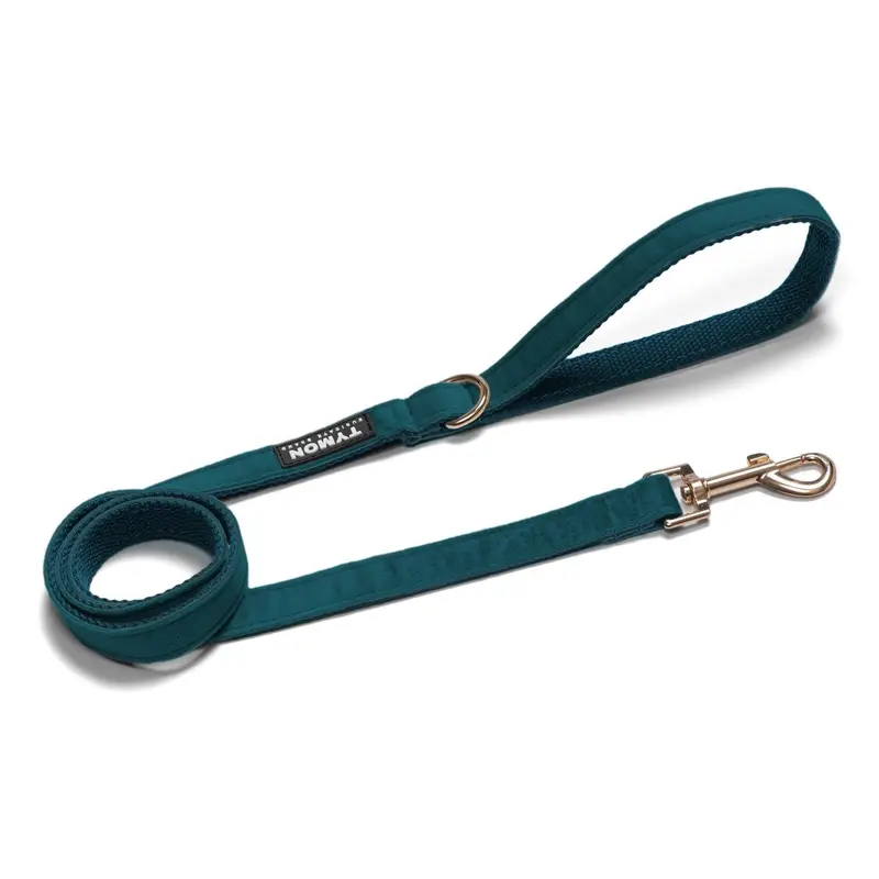 Correa velvet Teal