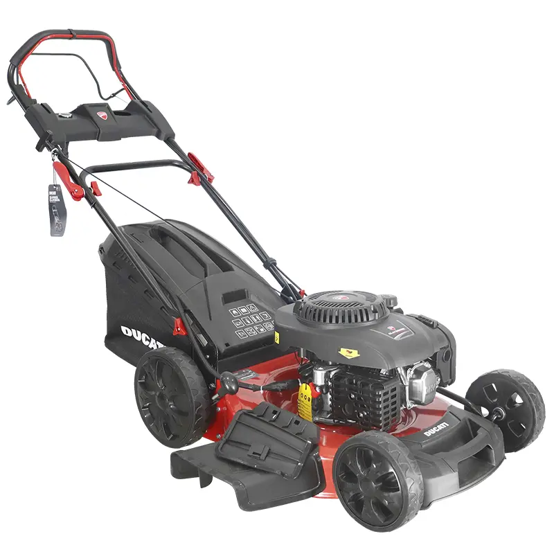 Cortacésped Ducati DLM5600E