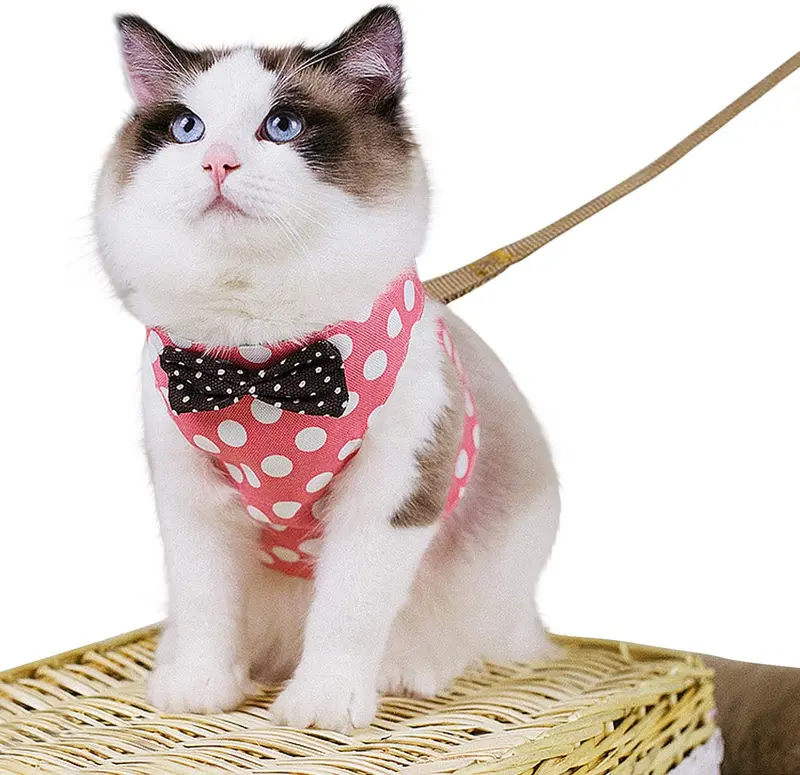 CROWNY Juego de arnés y correa para gato, sin tirones, a prueba de escape, chaleco para gato con lazo, lunares, chamarra fácil para caminar y correr