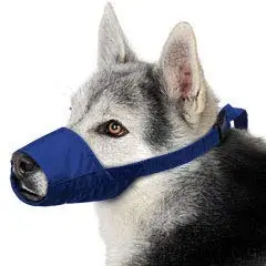 Cuatro banderas grandes, Quick Bozzle, color azul