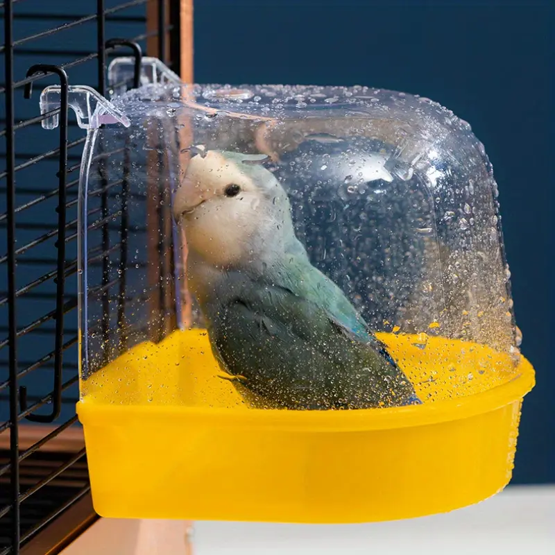 Cubículo Transparente para Pájaros – Espacio Seguro y Visibilidad Exterior