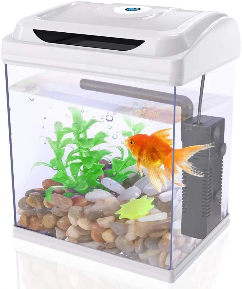 DADYPET Betta - Kit de iniciación para acuarios de acuario (1 galón con iluminación LED, plantas, guijarros, bomba