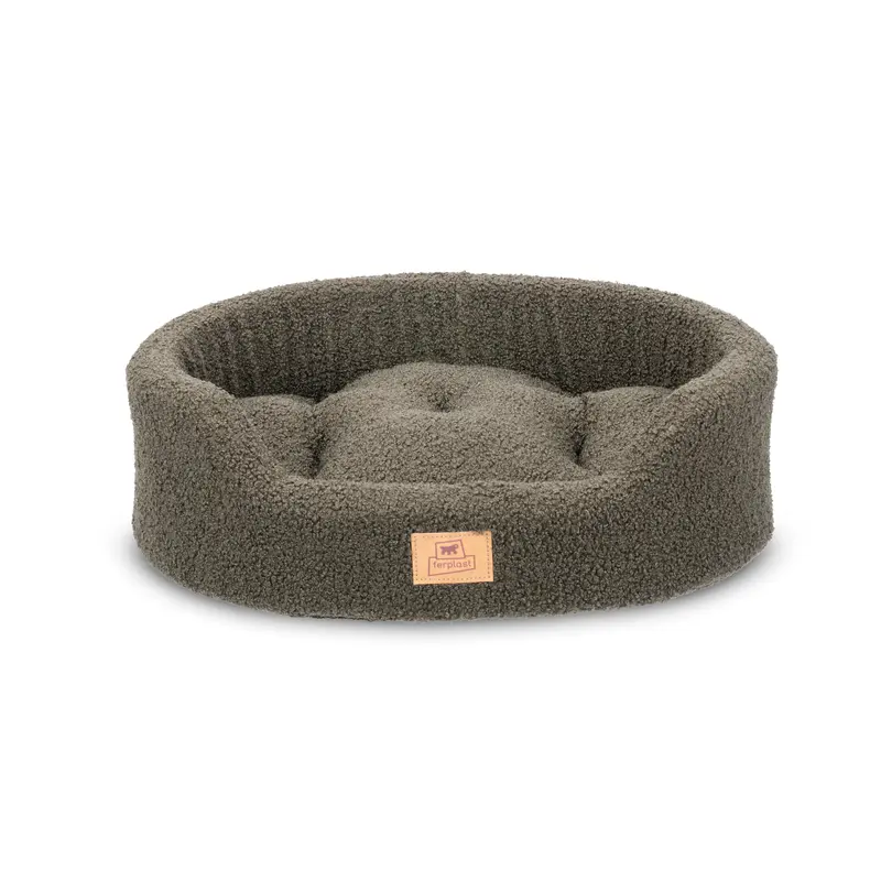 DANDY BOUCLE'