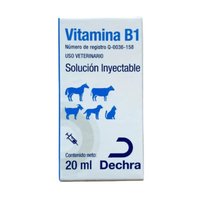 Dechra Vitamina B1 Iny 20 Ml