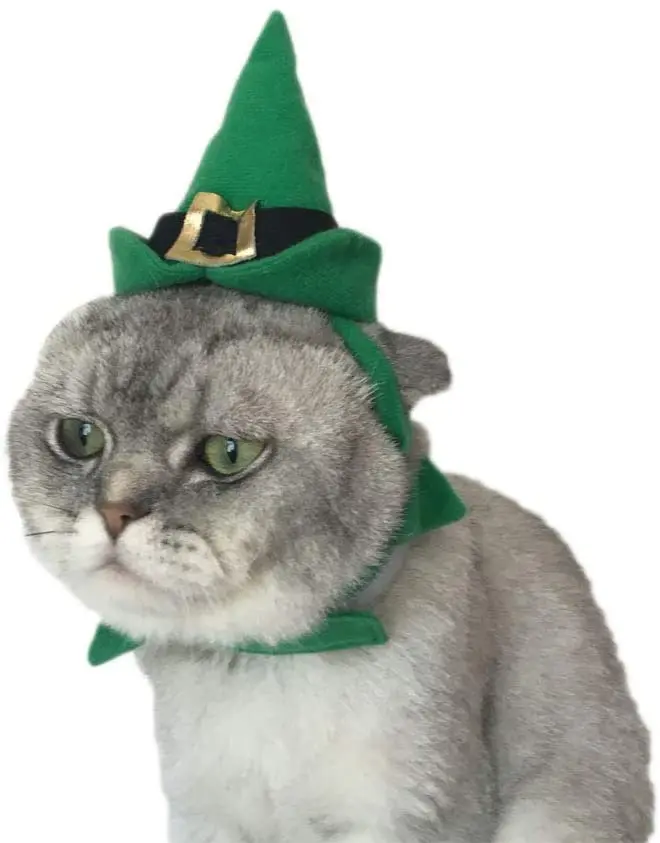 Delifur - Disfraz de San Patricio de Navidad para gato y perros pequeños, color verde