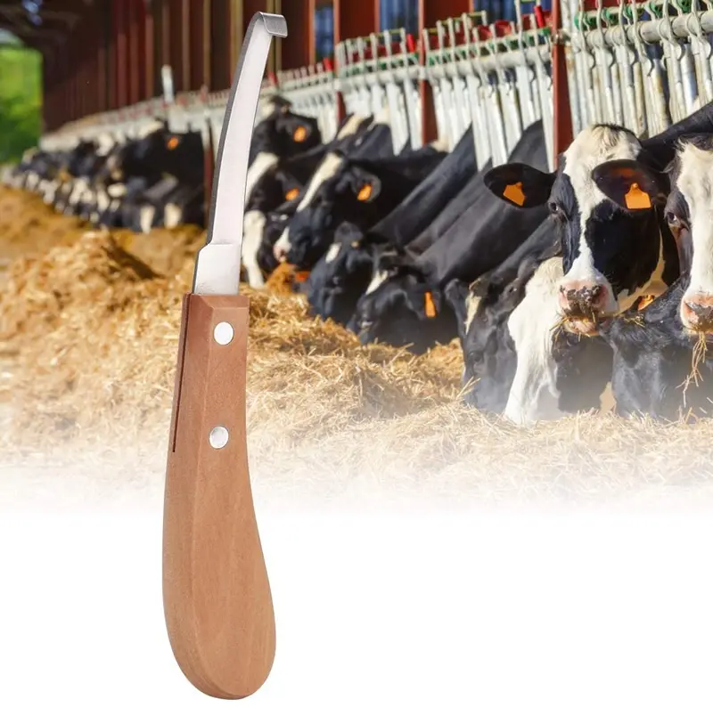 Dibiao - Herramienta de recorte de acero al carbono con forma de hoja recta, para ganado y caballo