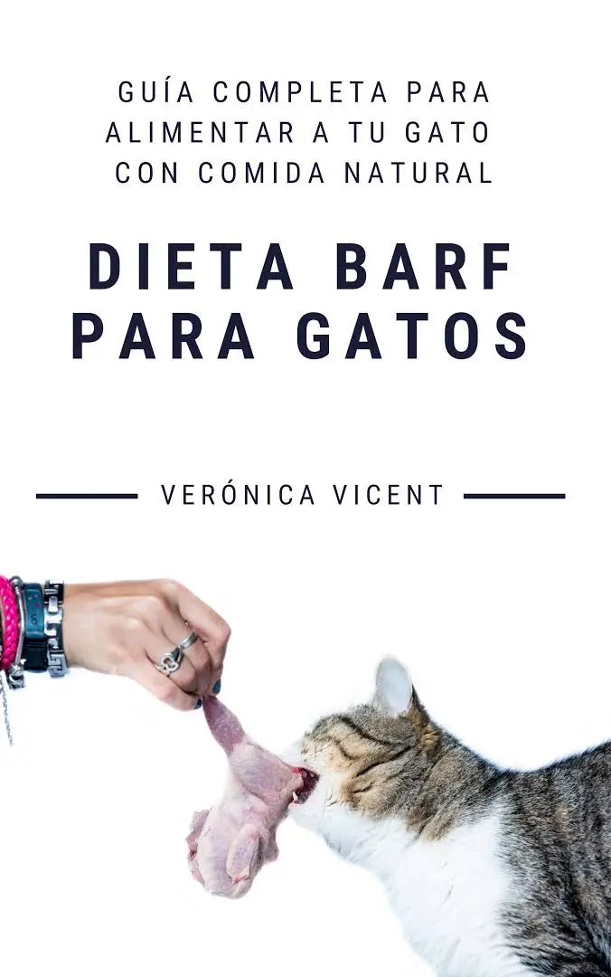 Dieta BARF para gatos