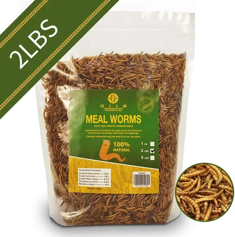 diig Dried Mealworms - Comidas para Aves Pollos