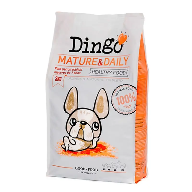 Dingo Perro Mature Daily