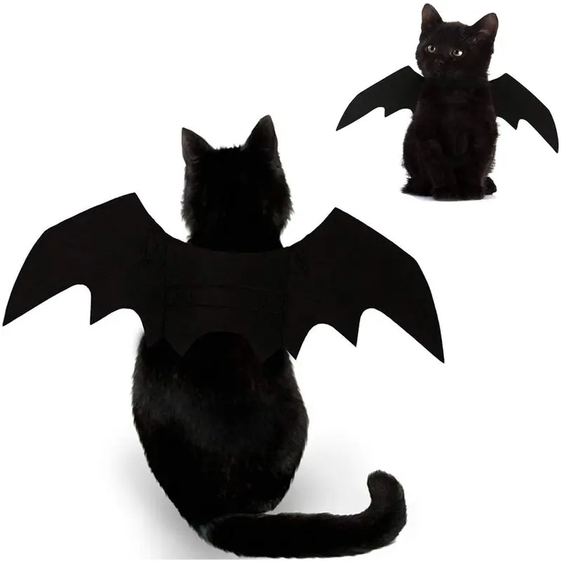 Disfraz de Halloween para gato de Foogles – negro gato alas de bate cosplay – disfraz para mascotas ropa para gatos pequeños perros cachorro – collar de gato plomos vestir accesorios