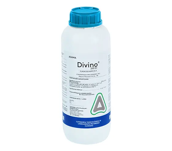 Divino Ec