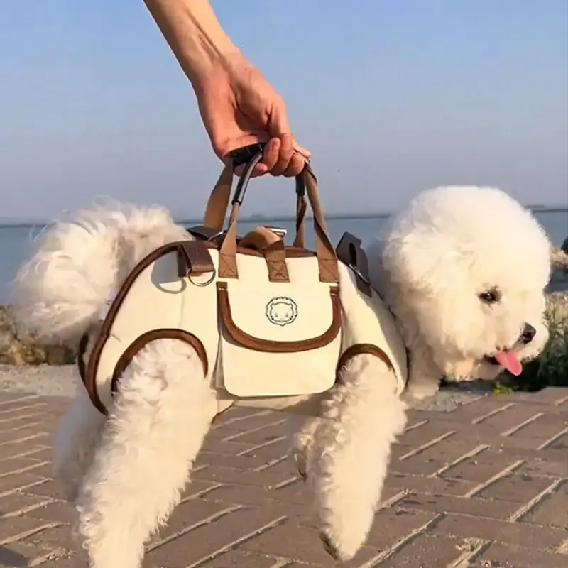 Dog&Bear - Adventure Vest