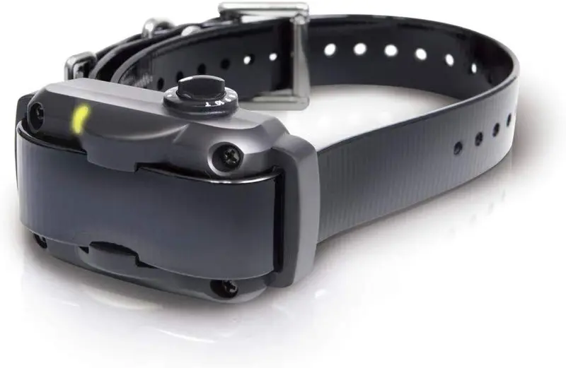 Dogtra ys600 recargable 10 Nivel ajustable no Bark Collar para perros 35 + libras