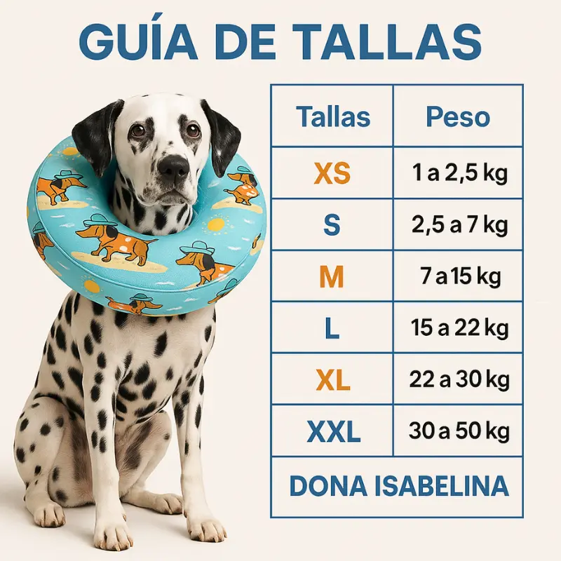 Dona Isabelina