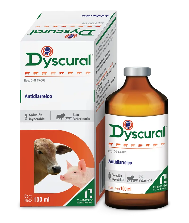 Dyscural Simple Frasco ámpula con 100 ml