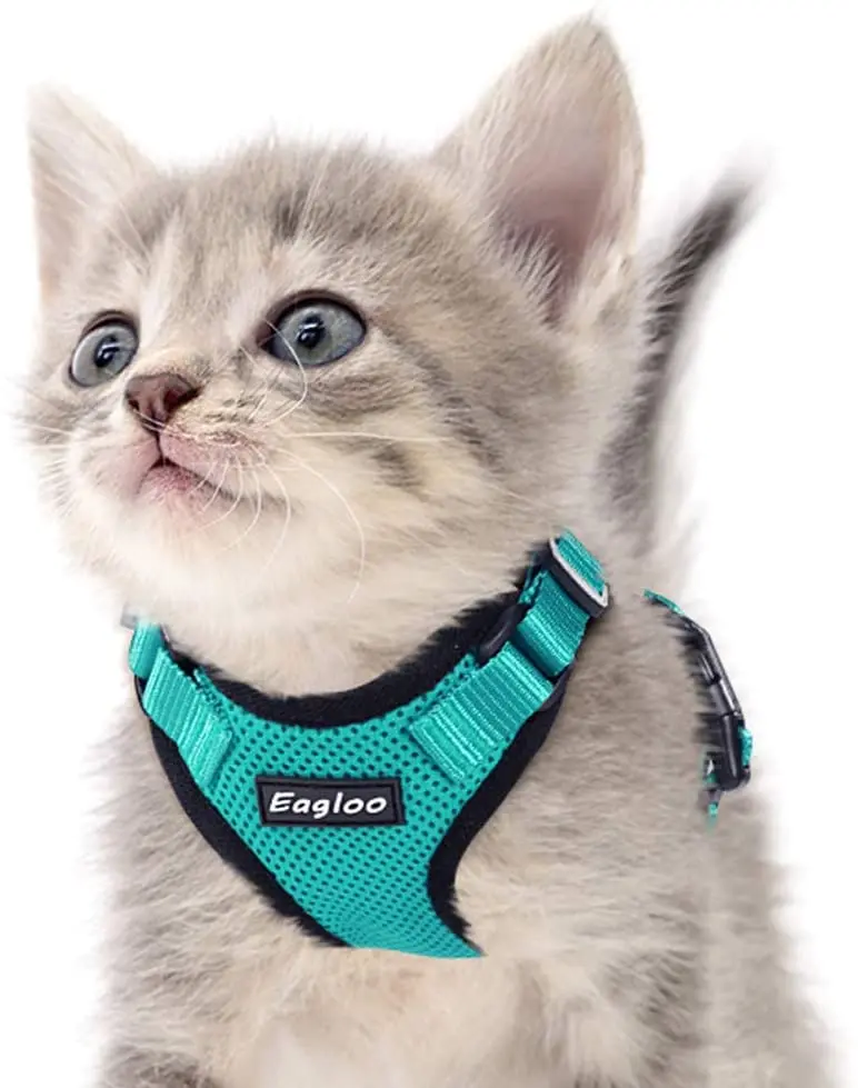 Eagloo Arnés de gato a prueba de escape, arnés de malla suave ajustable para gato con correa reflectante de metal para caminar chaqueta cómoda para mascotas Gatito cachorro conejo