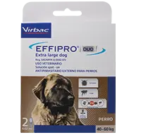 Effipro Duo Extra Large Dog para perros de 40-60 kg 2 pipetas ( Fipronil - Piriproxifen)