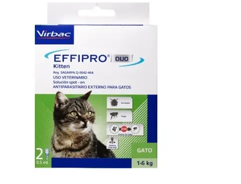 Effipro Duo Kitten 2 pipetas para Gato menos de 6 kg ( Fipronil - Piriproxifen)