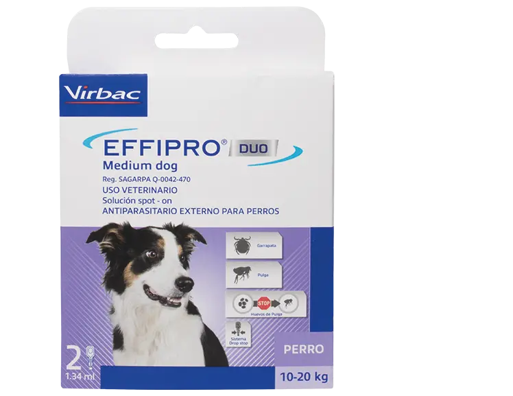 Effipro Duo Medium Dog para perros de 10-20 kg 2 pipetas ( Fipronil - Piriproxifen)