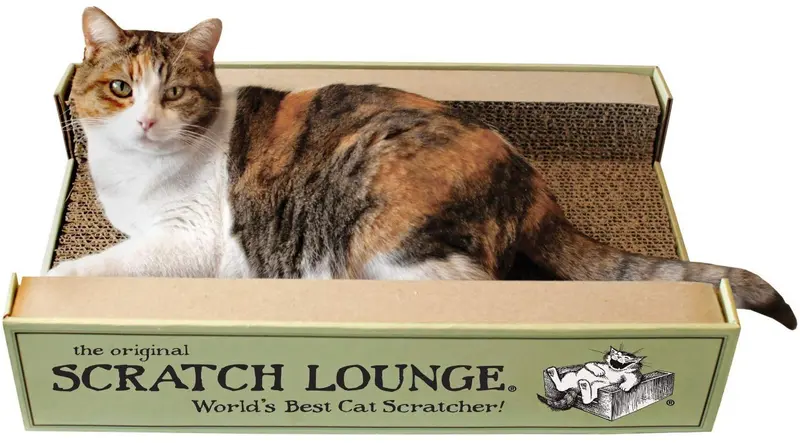 El mejor arañador para gatos del mundo, The Original Scratch Lounge, incluye manta para gatos