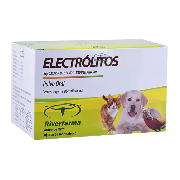 Electrólitos Caja con 10 Sobres de 100 g