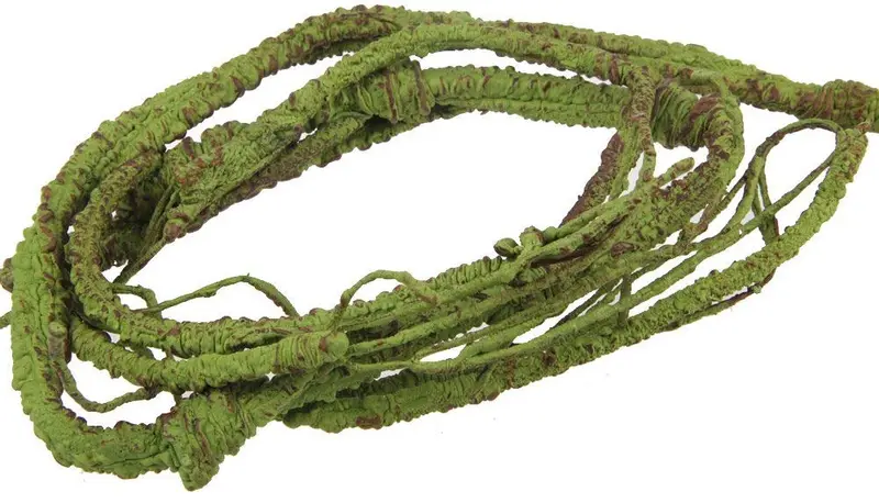 emours flexible bend-a-branch Jungle Vines Pet Habitat Decoración para Lizard, ranas, serpientes y más Reptiles, pequeño, 3.2 ft – Guantes largos