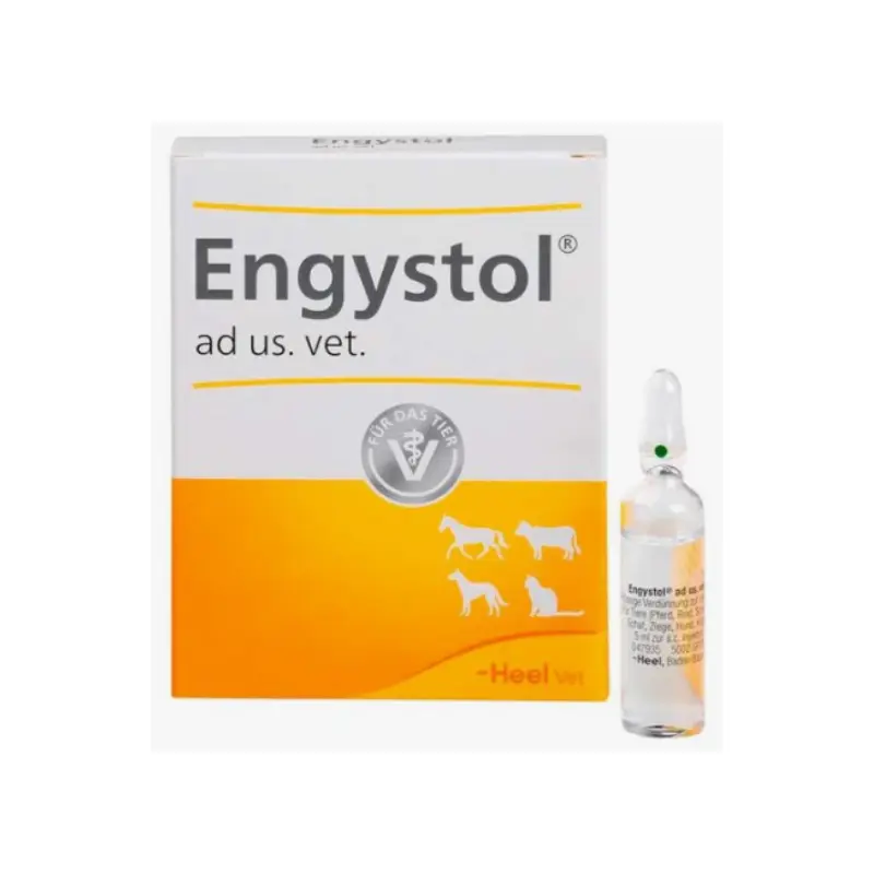 Engystol x Ampolla