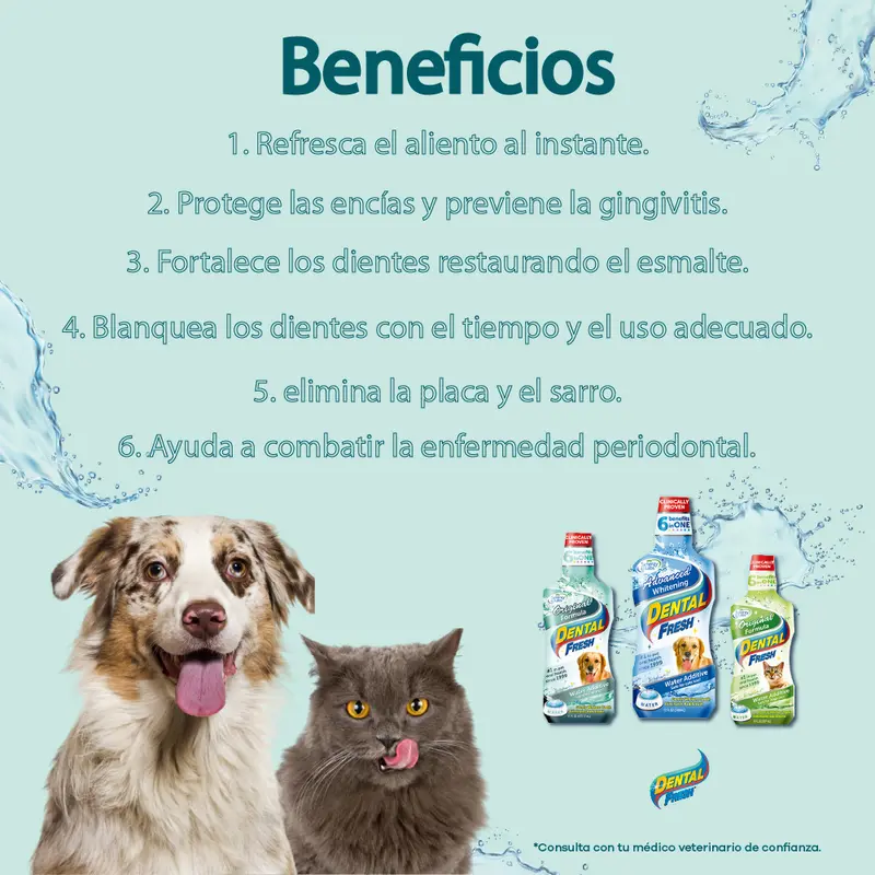 Enjuague Bucal  perro Dental Fresh Original Dogh 8 oz