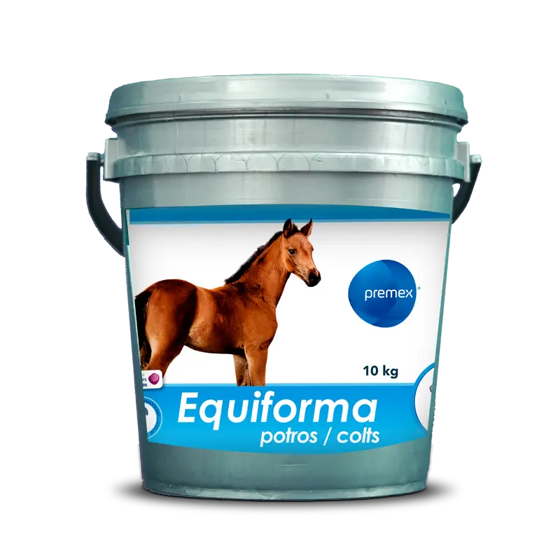 Equiforma Potros