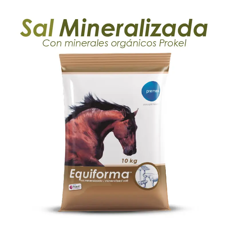 Equiforma Sal Mineralizada x 10 Kg