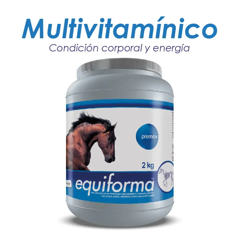Equiforma x 2 Kg