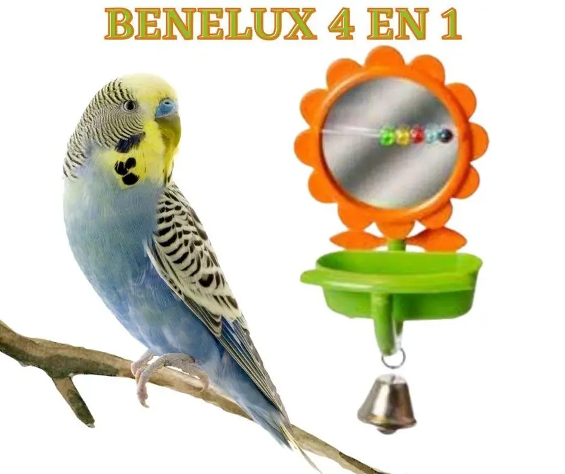 Espejo juguete para Pájaros Benelux 4 en 1