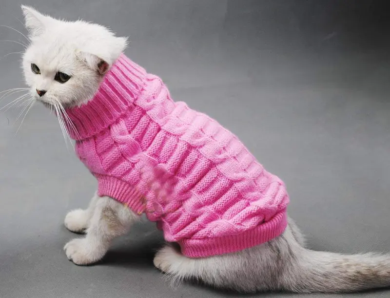 Evursua Pet Cat Sweater Kitten Clothes for Cats Small Dogs,Turtleneck Cat Clothes Pullover Soft Warm,fit Kitty,Chihuahua,Teddy,Poodle,Pug