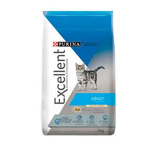 Excellent Gato Adulto