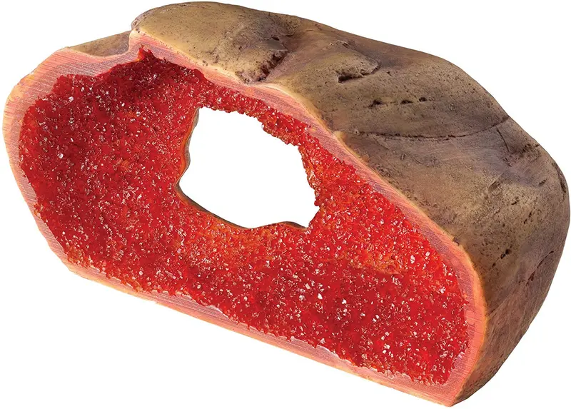 EXO TERRA Cueva de vidrio para reptiles, Medium