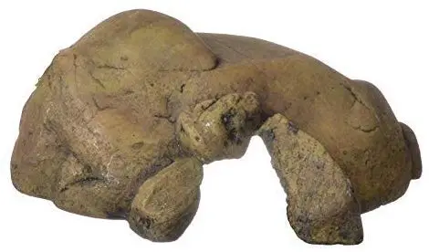 Exo Terra - Cueva para reptiles (tamaño extragrande), color negro