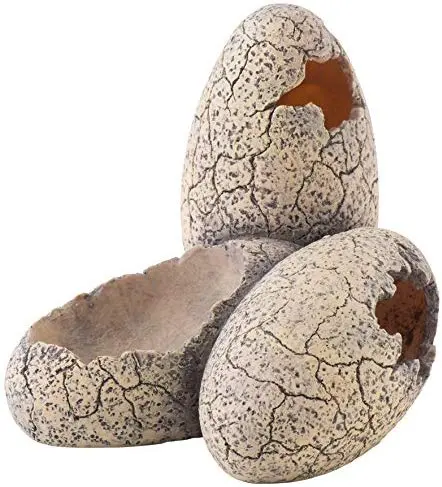EXO TERRA Huevos de Dinosaurio Hide & Plato de agua