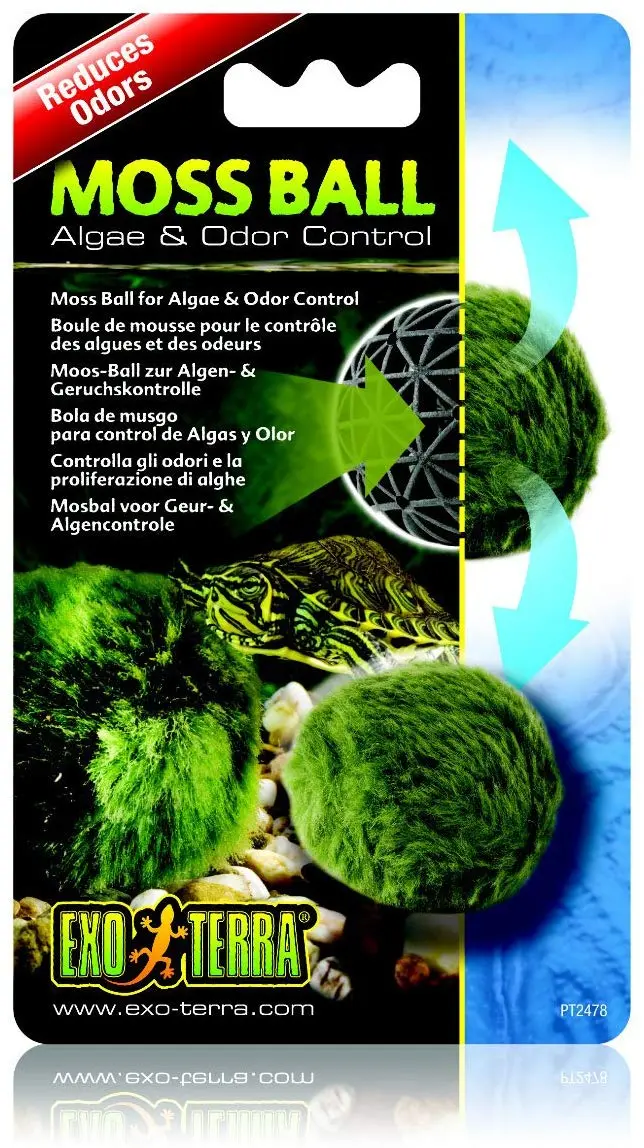 EXO TERRA Musgo bola