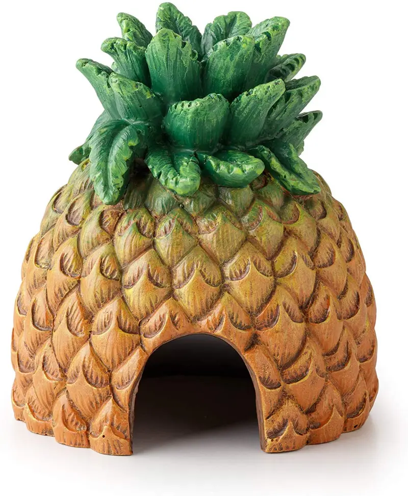 Exo Terra Pineapple Hide