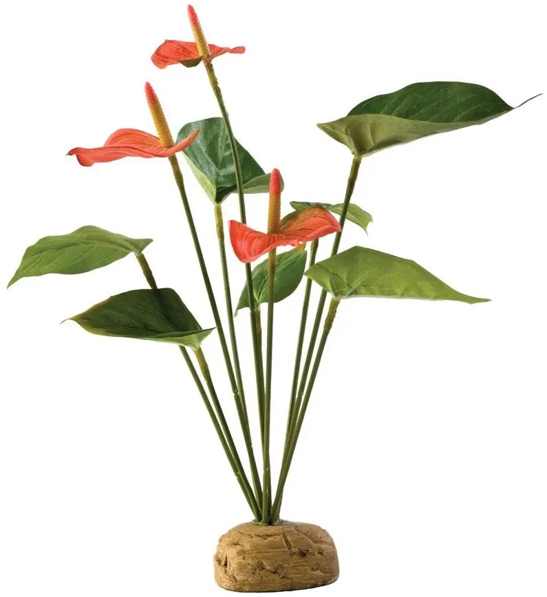 EXO TERRA Planta Anthurium Bush terrario