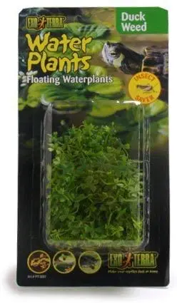 EXO TERRA Planta de agua