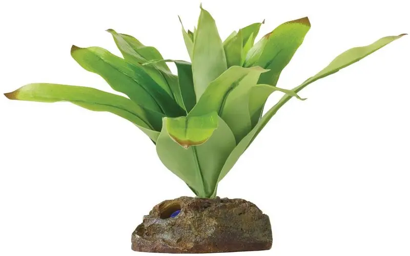 EXO TERRA Planta de Dart Frog Bromelia