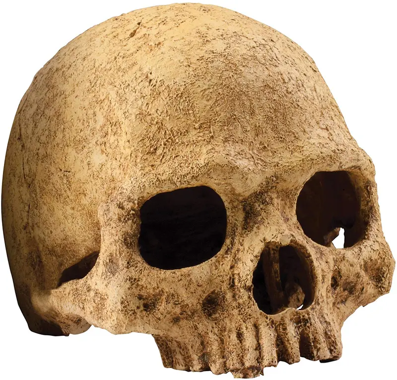 Exo Terra Primate Skull Hideaway, talla única