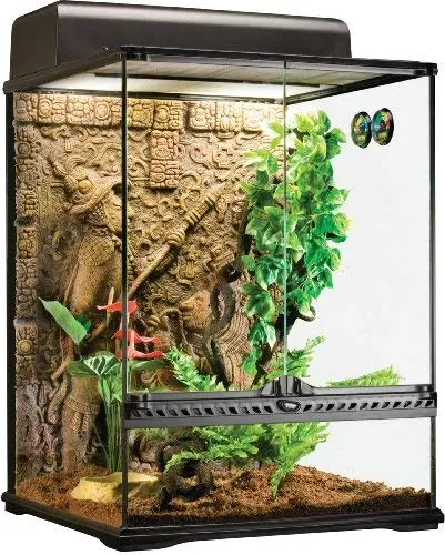 Exo Terra - Terrario de vidrio estilo maya, pequeño y alto