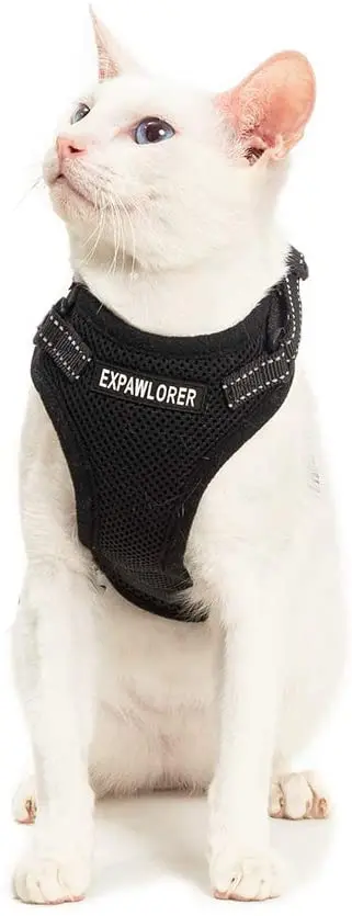 EXPAWLORER Arnés para gato a prueba de escape, ajustable, ligero, cómodo, transpirable, chaleco de malla con correa reflectante negra para gatos y cachorros adultos