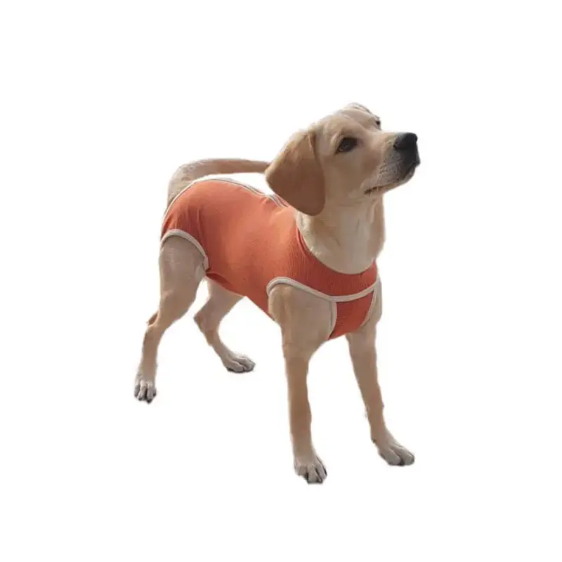 Faja Posquirurgico Para Mascotas M