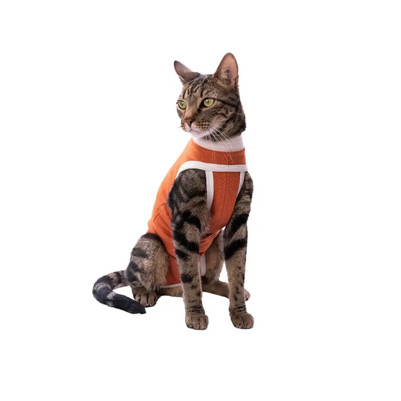 Faja Posquirurgico Para Mascotas Mini
